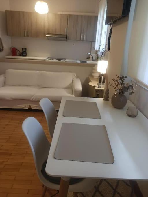 Beautiful Downtown Studio! Ioánnina Exteriör bild